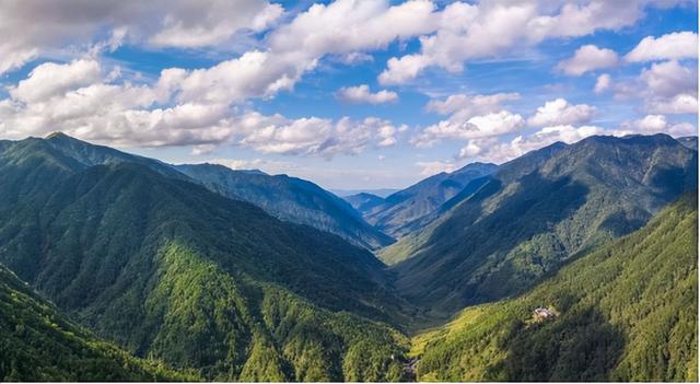 香港学子集结江西武夷山！一场跨越山海的生态科考之旅正式启程！