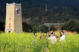 龙胜六漫村：桃花油菜花相映成趣乡村旅游春意正浓图片