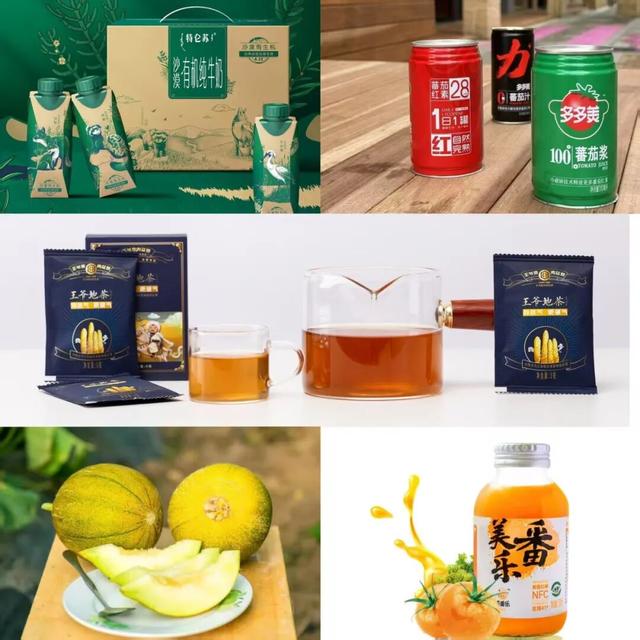 高铁直达！48小时玩转冬日磴口，观流凌、渡·阴山、冲沙漠，欢乐不停歇~~~