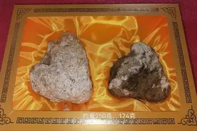 海滩上发现一块臭气熏天的石头，男子好奇一摸，竟意外走了狗屎运图片