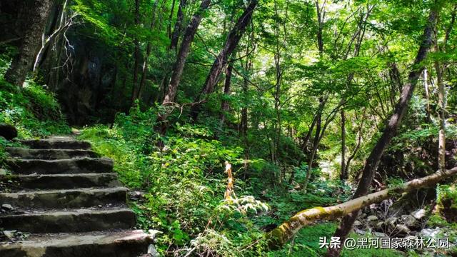 西安周边 | 这个秋天不可错过的宝藏旅行地！