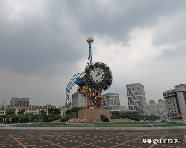 新年的第一天 来看红嘴鸥