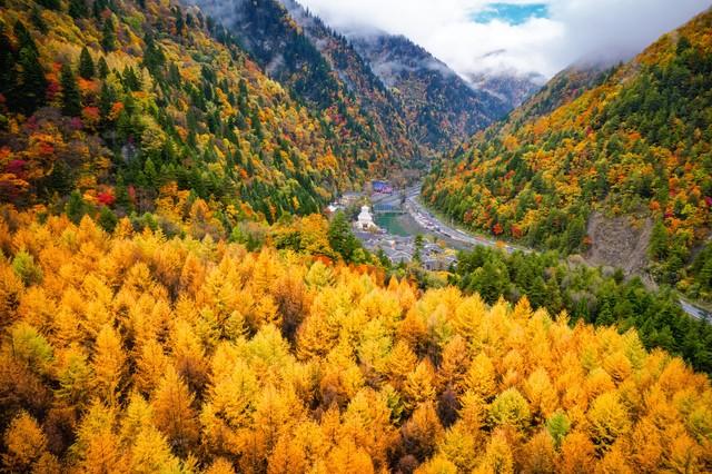 四川秋色段位大揭秘！这6个地方去了3个就算玩咖，全去过是王者！