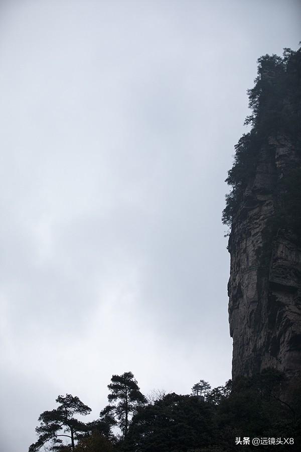 张家界国家森林公园的自然诗篇