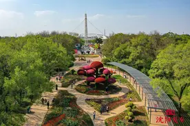 【节气中国·立夏】世博秘境 花朝倾城图片