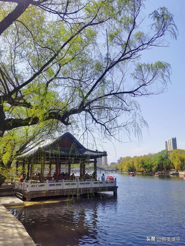 沈阳已连续四年登榜，10个理由让你爱上这座城！