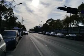 统编高中语文教材回归核心知识梳理（教考衔接）图片