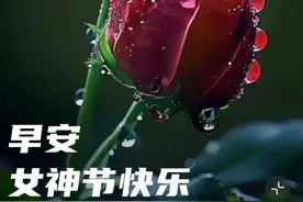 今日三八妇女节，祝福问候女神节早安早上好节日快乐最新唯美图片图片