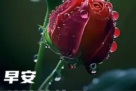 今日三八妇女节，祝福问候女神节早安早上好节日快乐最新唯美图片图片