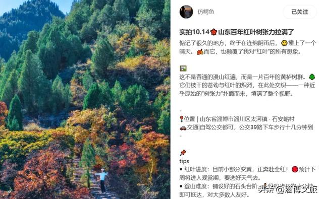 红了！淄博这8处绝美赏秋宝地，藏着浓墨重彩的秋天！