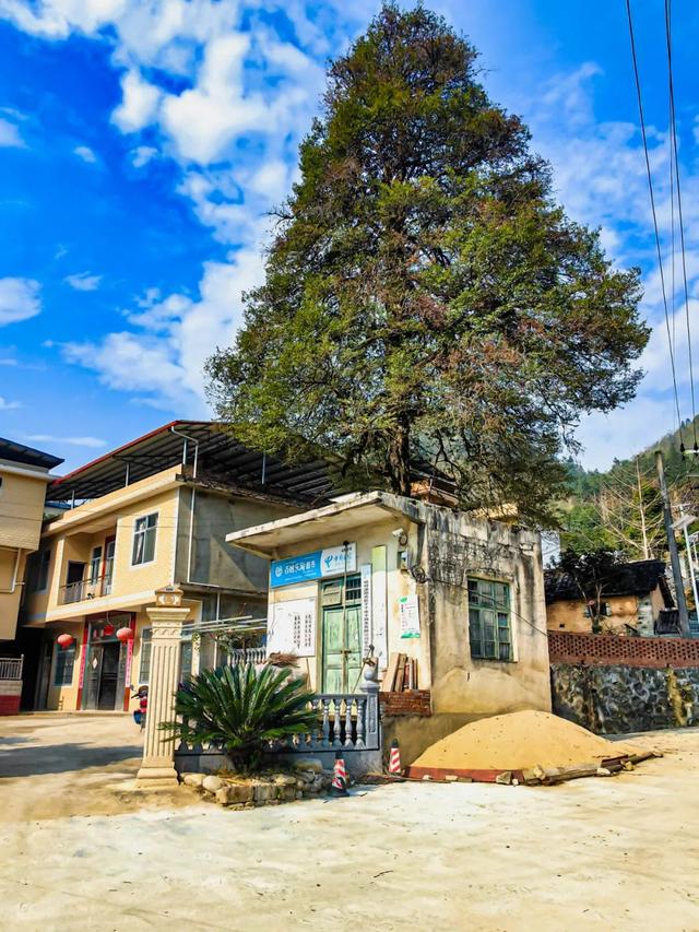 图说灌阳：西山北江土地塘，墙上还保留有八十年代的标语口号