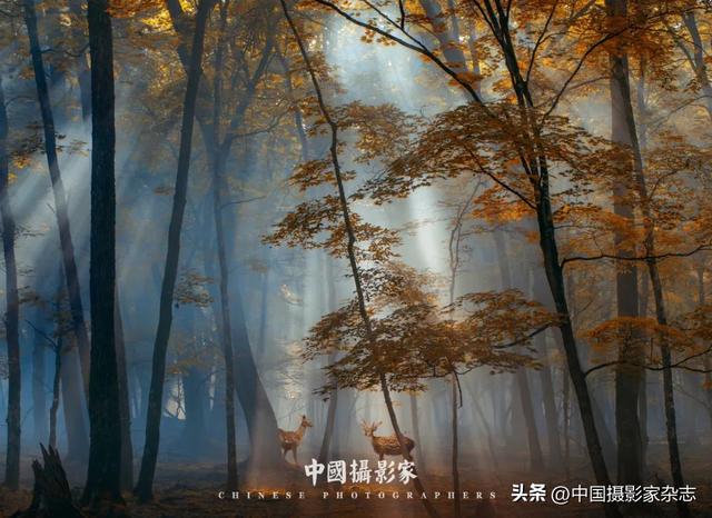 高鹏飞｜四季长白
