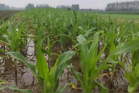 热不热，就看五月廿八！今天五月廿八，下雨好不好？答案来了图片