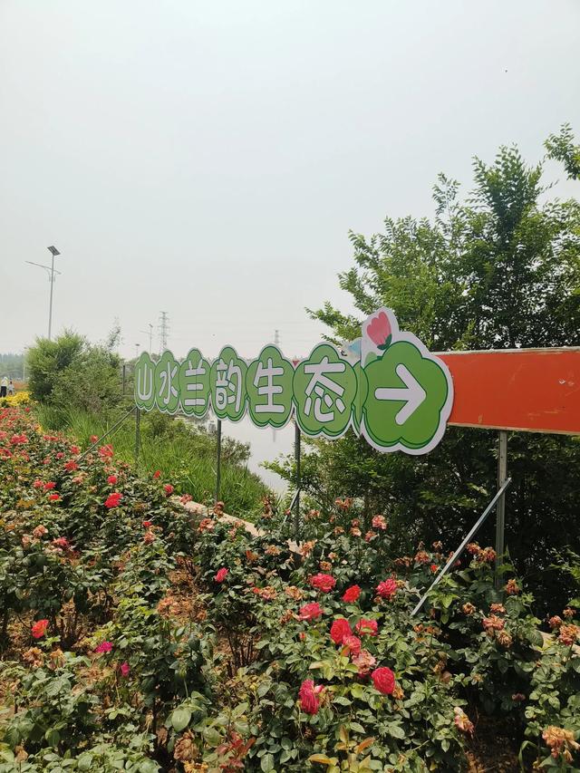 天津又一新建的公园~《山水花苑》