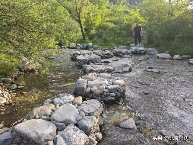总长近150公里~延庆将建成两条森林步道——