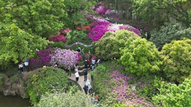 无锡这座绝美花园，免费开放了