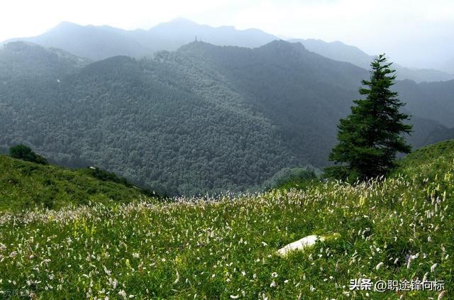 女儿一家三口旅游把我当免费保姆，这届年轻人到底怎么了？