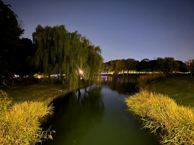 夜步嘉兴中央公园