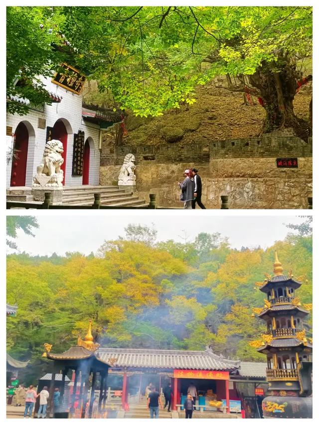 【醉美青檀秋色正当时】水彩画卷徐徐展开，只等您来！
