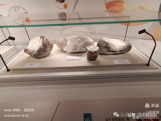 探秘丝路明珠,邂逅巴楚千年文明——走进新疆巴楚博物馆|申艳娟