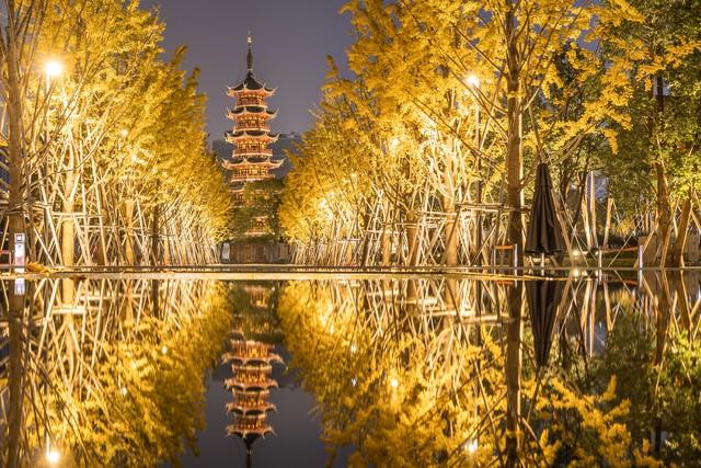 上海深秋封神路线！红叶燃秋+古寺银杏，3条私藏线承包你的诗意