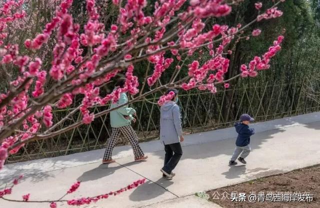 明日免费、半价！最好的风景送给最美的你！