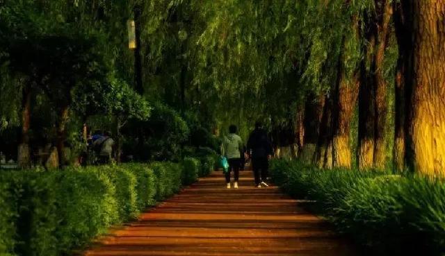 我52岁跟老公异地分居在厂里上班，耐不住寂寞	，每天晚上出去散步