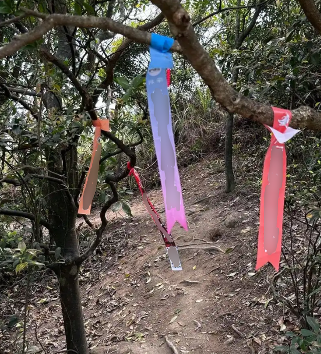 失联多日，蔡磊确认遇难，哥哥透露更多细节，有一个问题待解决