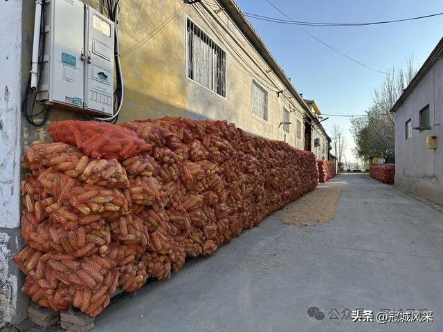 冠县乡韵·贾镇洼里村