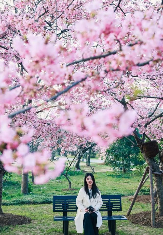 清晨7点的鼋头渚，美爆了