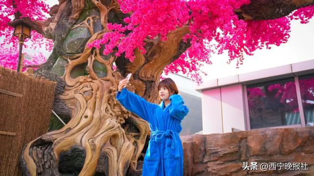 这个冬日,西宁又多了一处休闲打卡地