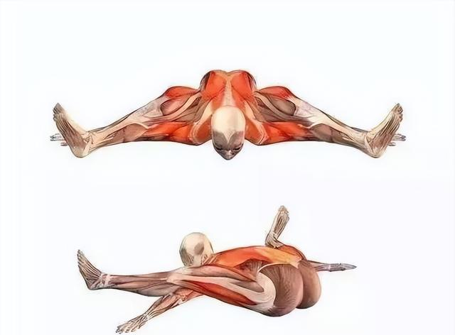 坚持了一个月的“龟式	”	，瘦的都是内脏脂肪，皮肤都变好了！