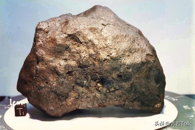 触摸砂纸质感鲸皮，见证恐龙生死搏斗，这座博物馆让孩子爱上自然