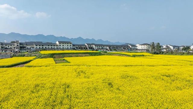 地名里的重庆 | 在巴南麻柳嘴 听不一样的“江流之声”