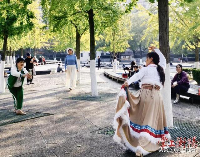 深秋暖阳好作伴，岳屏广场邀你共赴“金色之约”