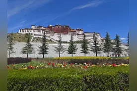 拉萨.布达拉宫（一）图片