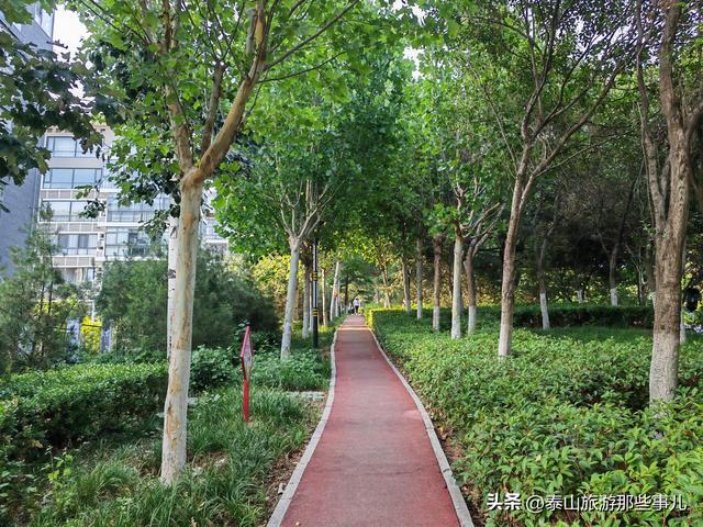 泰山脚下一座无废城市公园，东临“泰安曼哈顿”，斥资4700万打造