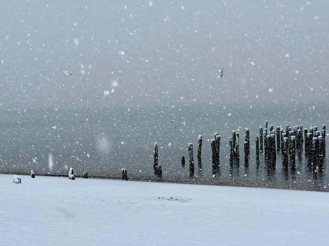 雪大不大，就看冬月廿四！今日十一月二十四2026年春节能赏雪吗？