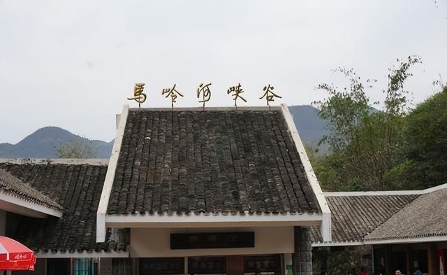 99年贵州景区缆车坠落，幸存儿被韩红收养，如今俩人感情超越母子