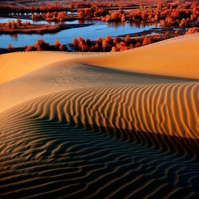 诗和远方 魅影新疆