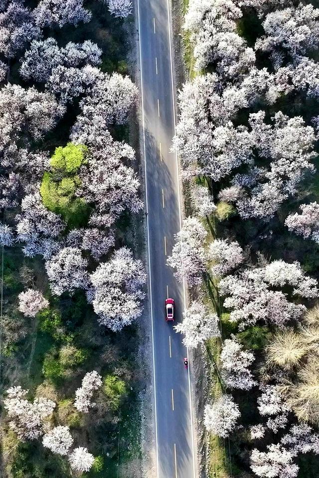 我从广东搬到了库尔德宁