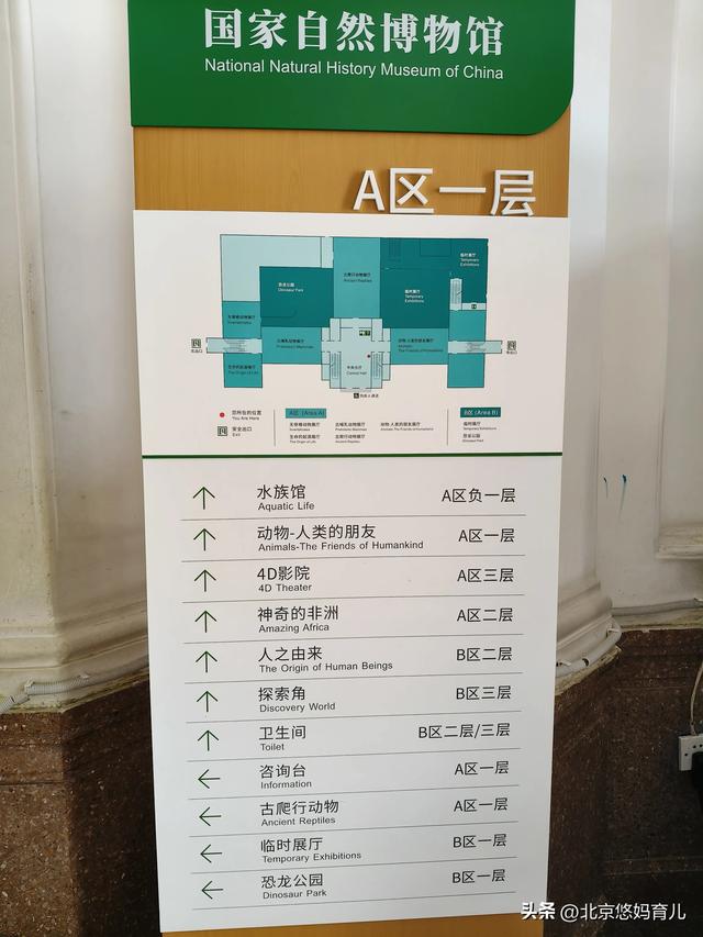 第一次去国家自然博物馆，水族馆和恐龙乐园是8岁孩子的最爱