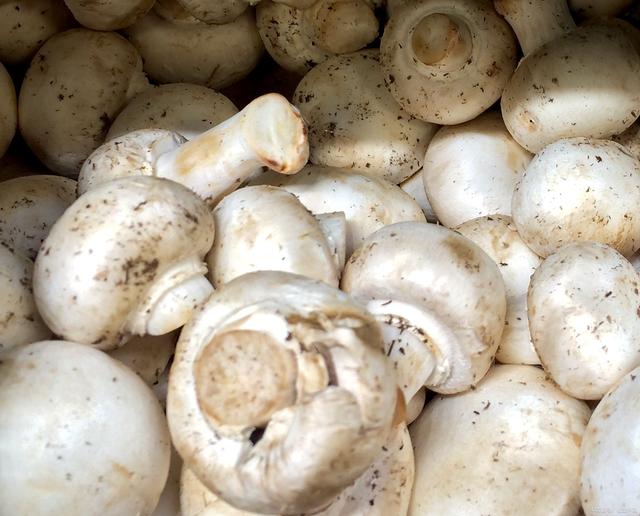 立冬将至，涨价最猛的不是黄瓜西红柿，而是这5样，比肉还要贵！