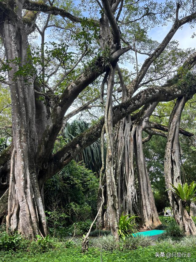 云南弥勒避暑旅游生活记录（三）瑞丽