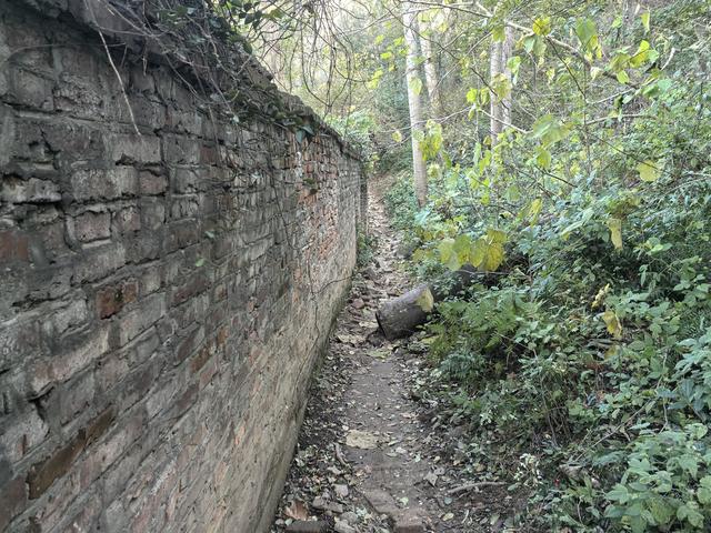 南京紫金山郊野徒步