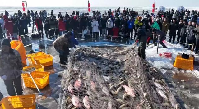 “顶流”回归！今冬在呼和浩特怎么玩？官方攻略出炉！