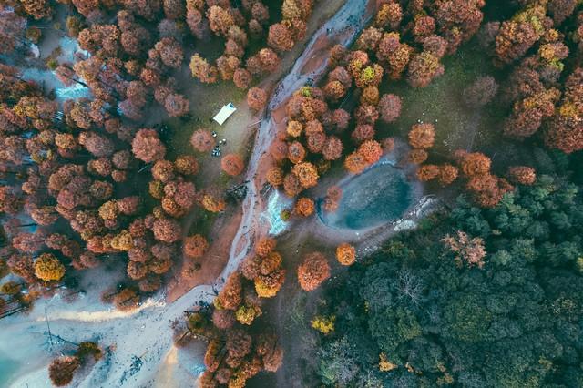 这才是江南秋天的天花板！浙江5大红叶秘境，带你走进古典水彩画
