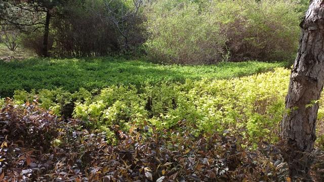 一年四季，哪个季节景色最美？