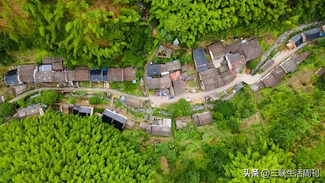 与三联同行，行走黄山不止于“雾凇限定”