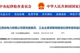 ​国网江西省电力有限公司原党委委员、工会主席谭黎明接受审查调查图片
